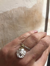 Carica l'immagine nel visualizzatore di Gallery, Minimal Capsule lottie