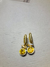 Carica l'immagine nel visualizzatore di Gallery, Orecchini New Casual Light